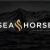 Cheval de mer